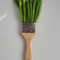 Seasonal and local veggies, green beans
